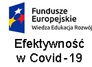 Efektywność w Covid-19